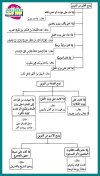 FB_IMG_1753863263025.jpg