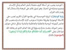 FB_IMG_1786568235148.jpg