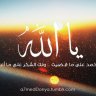 anis999